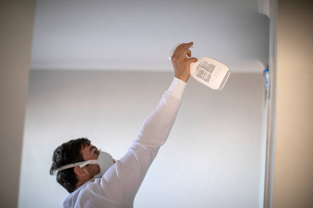 Best HVAC Mold Remediation in Burien, WA