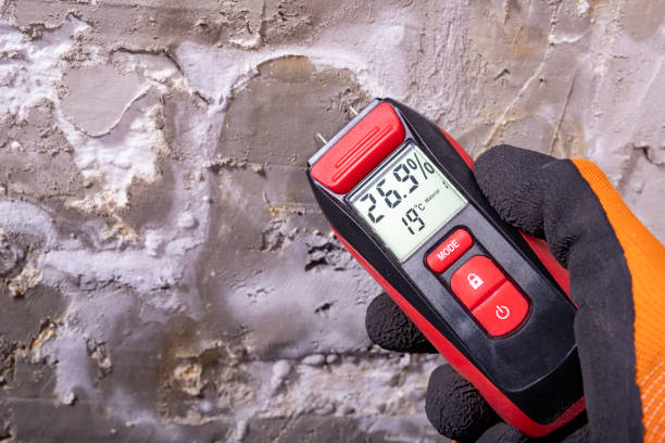 Best Mold Testing and Inspection Services in Burien, WA