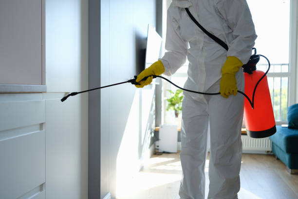 Professional Mold Remediation in Burien, WA