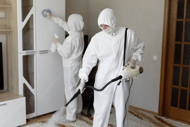 Best Insurance-Related Mold Remediation in Burien, WA